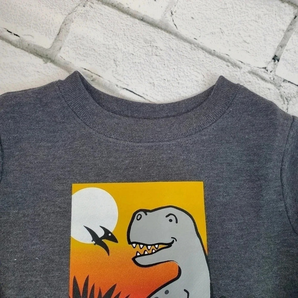 Grey and Black TREX Boys Fleece Lined Sweatshirt and Sweatpants Matching Set - Picture 7 of 9